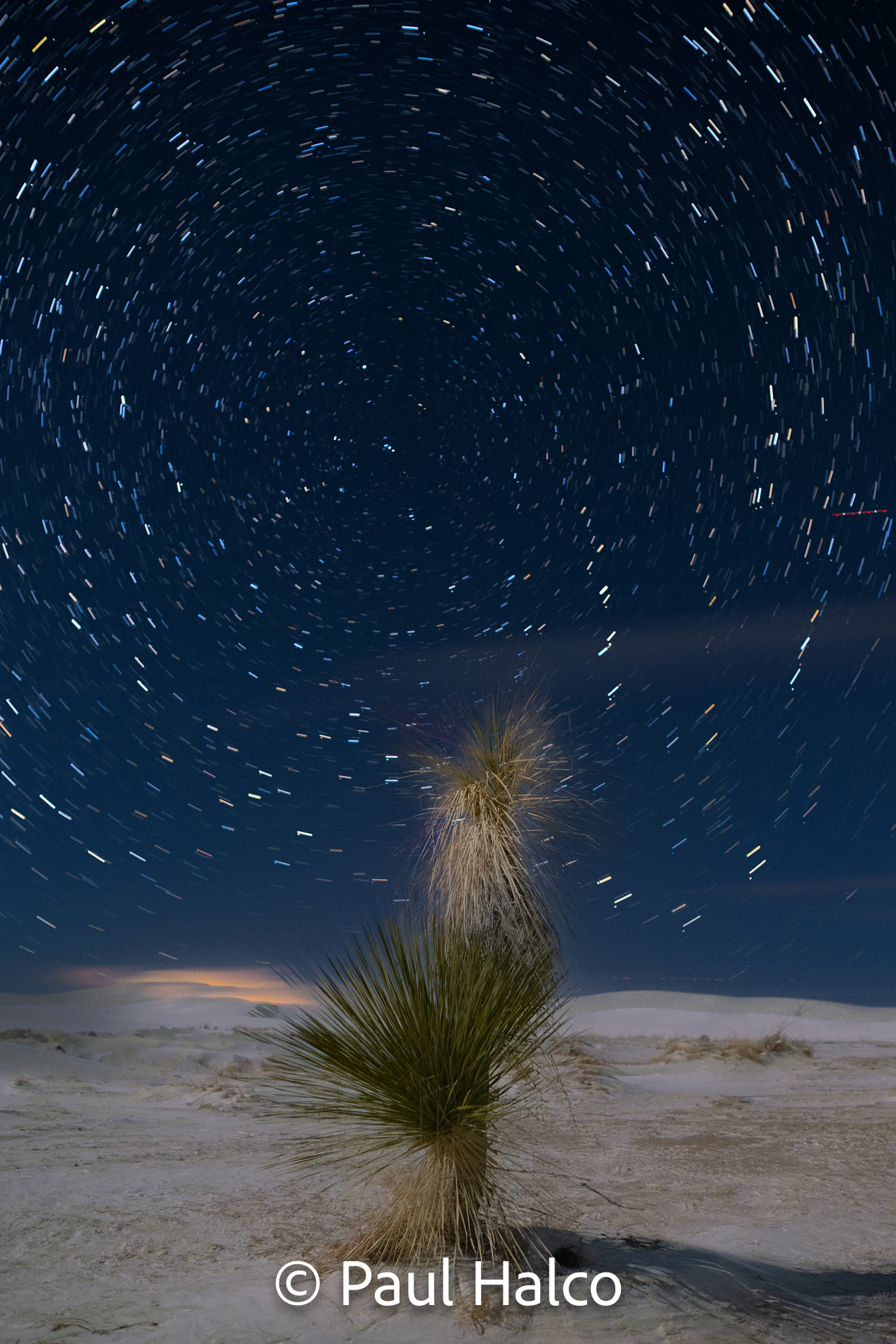 Paul Halco - White Sands NP-19